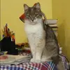 Отзыв от София Евдокимова